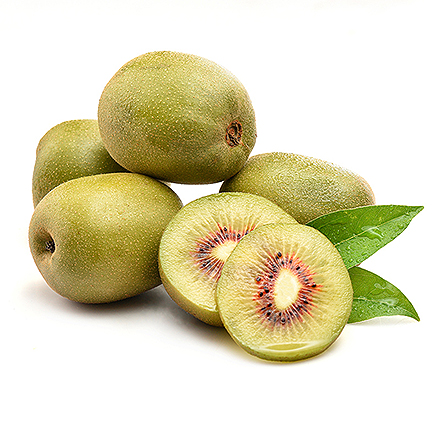 九游棋牌入口产品中心八